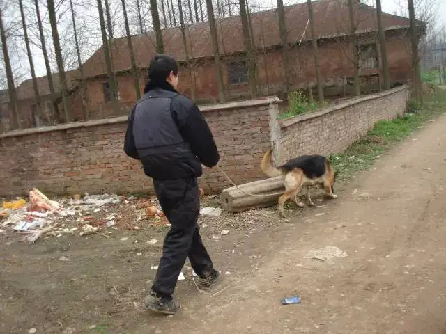 _1
